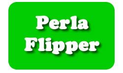 Perla Flipper